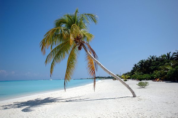 L'évolution captivante des parcs d'attractions à travers le temps