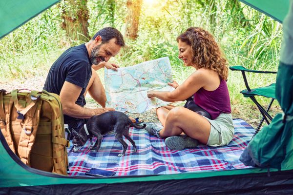 Astuces infaillibles pour préparer votre chien à une escapade camping mémorable