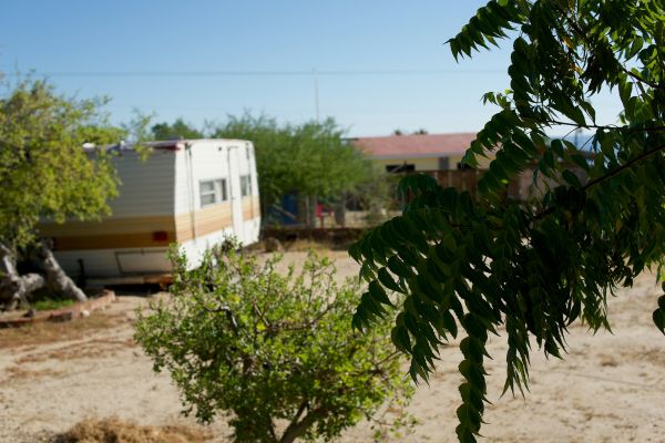 Évasion en Mobil-Home : Plongez dans l'Envoûtement des Vignobles – La Tendance Touristique Incontournable !