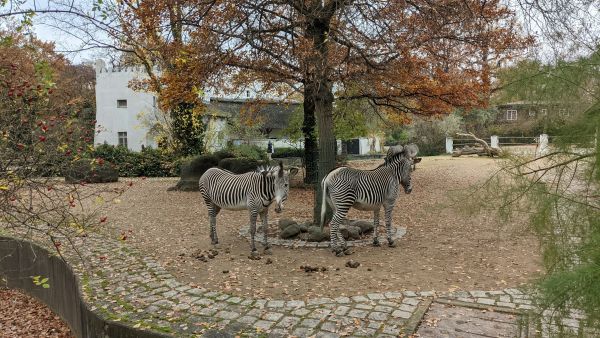 Votre étape confortable à l'hôtel proche du zoo de la flèche